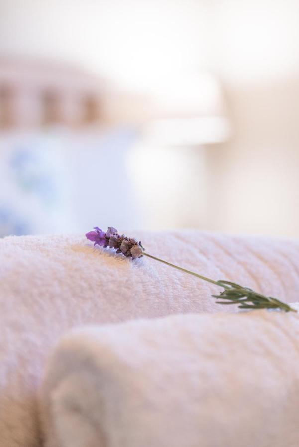 Elfen Cottage Prince Albert Εξωτερικό φωτογραφία