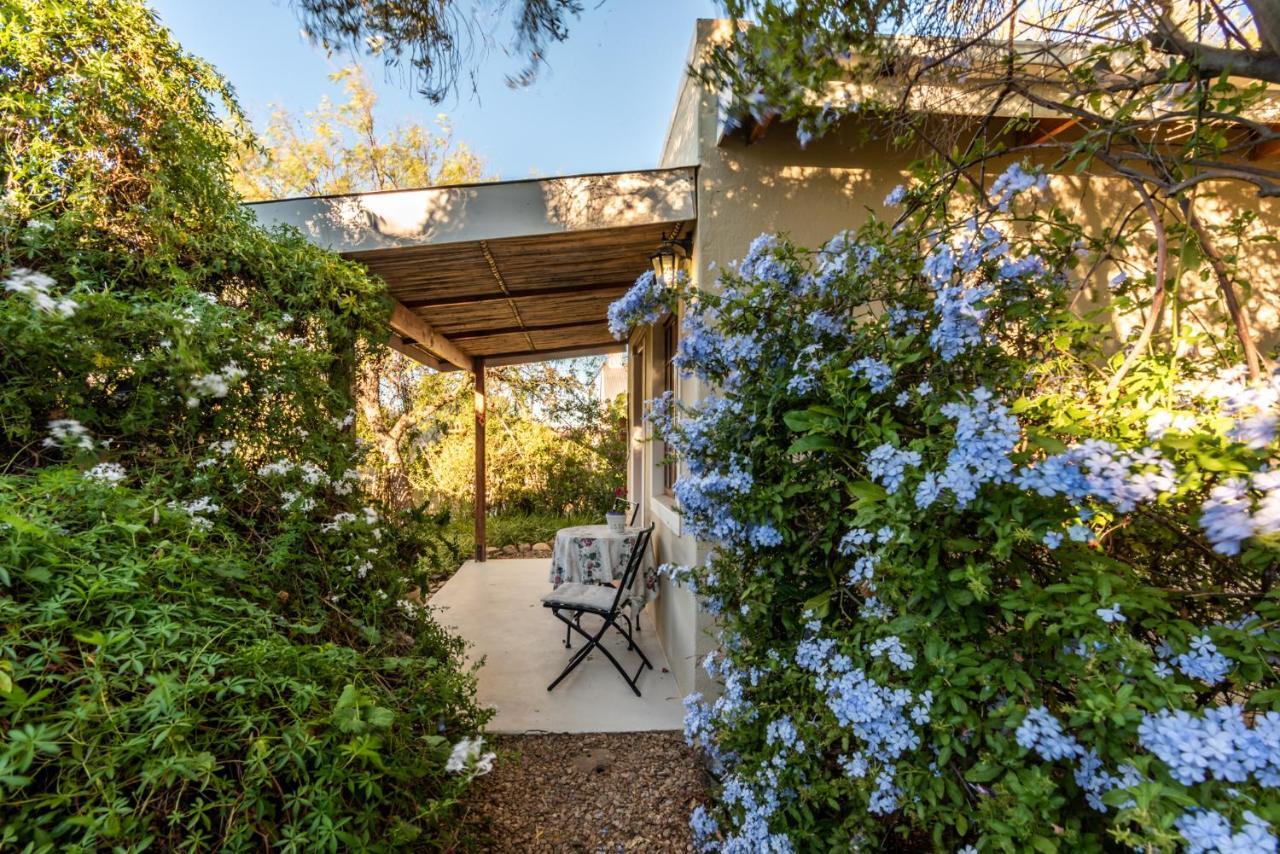 Elfen Cottage Prince Albert Εξωτερικό φωτογραφία